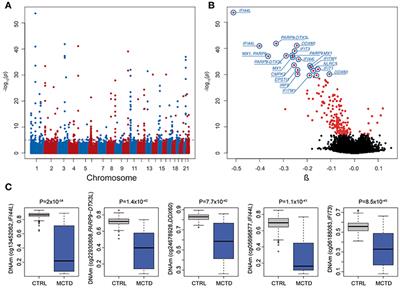 Epigenome-Wide Comparative Study Reveals Key Differences Between Mixed Connective Tissue Disease and Related <mark class="highlighted">Systemic Autoimmune Diseases</mark>